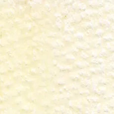 Holbein Artist Colored Pencil - Ivory OP116