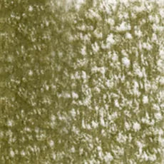 Holbein Artist Colored Pencil - Olive Drab OP187
