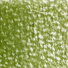 Holbein Artist Colored Pencil - Olive Green OP189