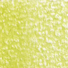 Holbein Artist Colored Pencil - Olive Yellow OP198