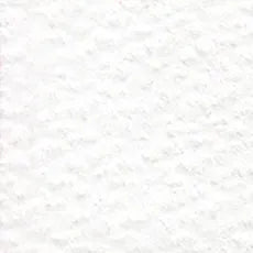 Holbein Artist Colored Pencil - White OP500