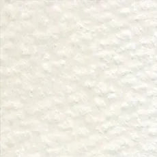 Holbein Artist Colored Pencil - Warm Grey #1