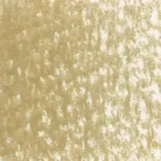 Holbein Artist Colored Pencil - Pale Gold OP610