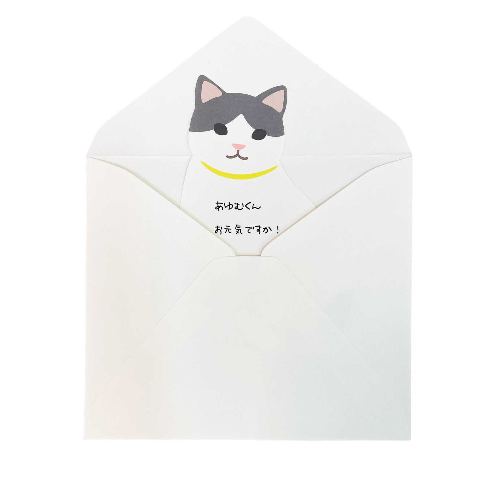 Minnismiðar - púðluhundur