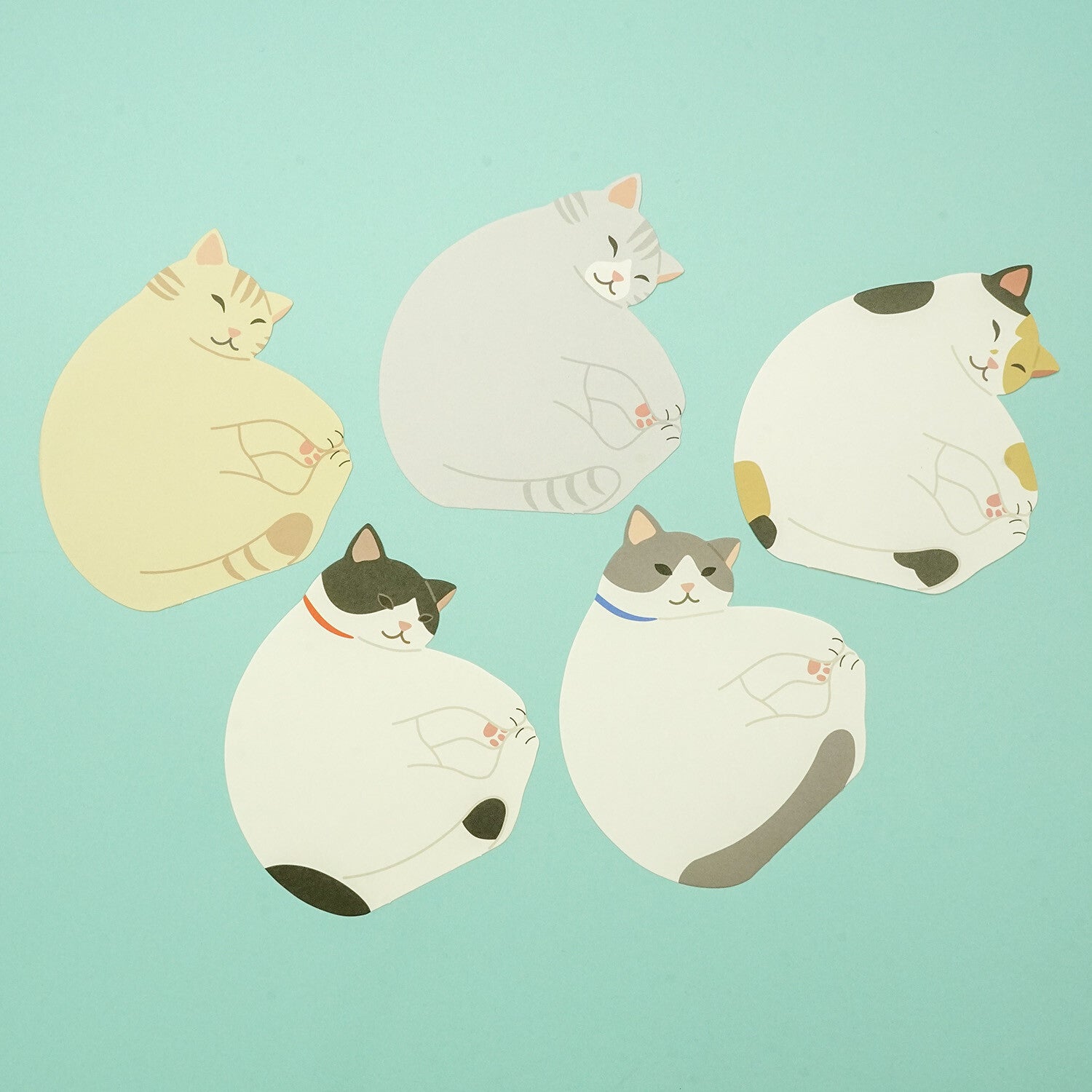 Minnismiðar - sofandi kisa