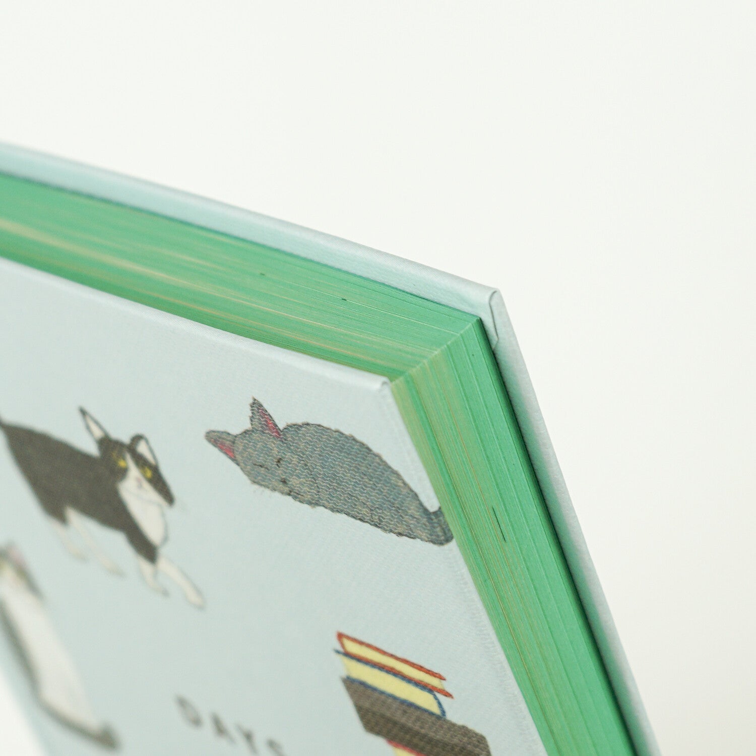 Myndskreytt stílabók - kisur