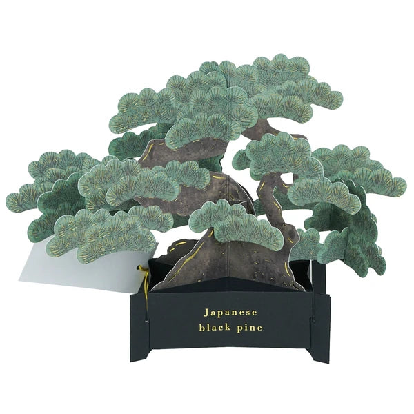 Þrívíddarkort - bonsai tré