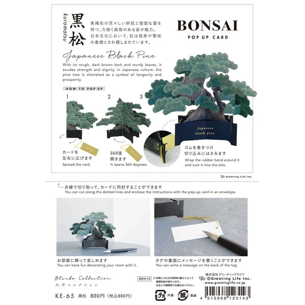 Þrívíddarkort - bonsai tré
