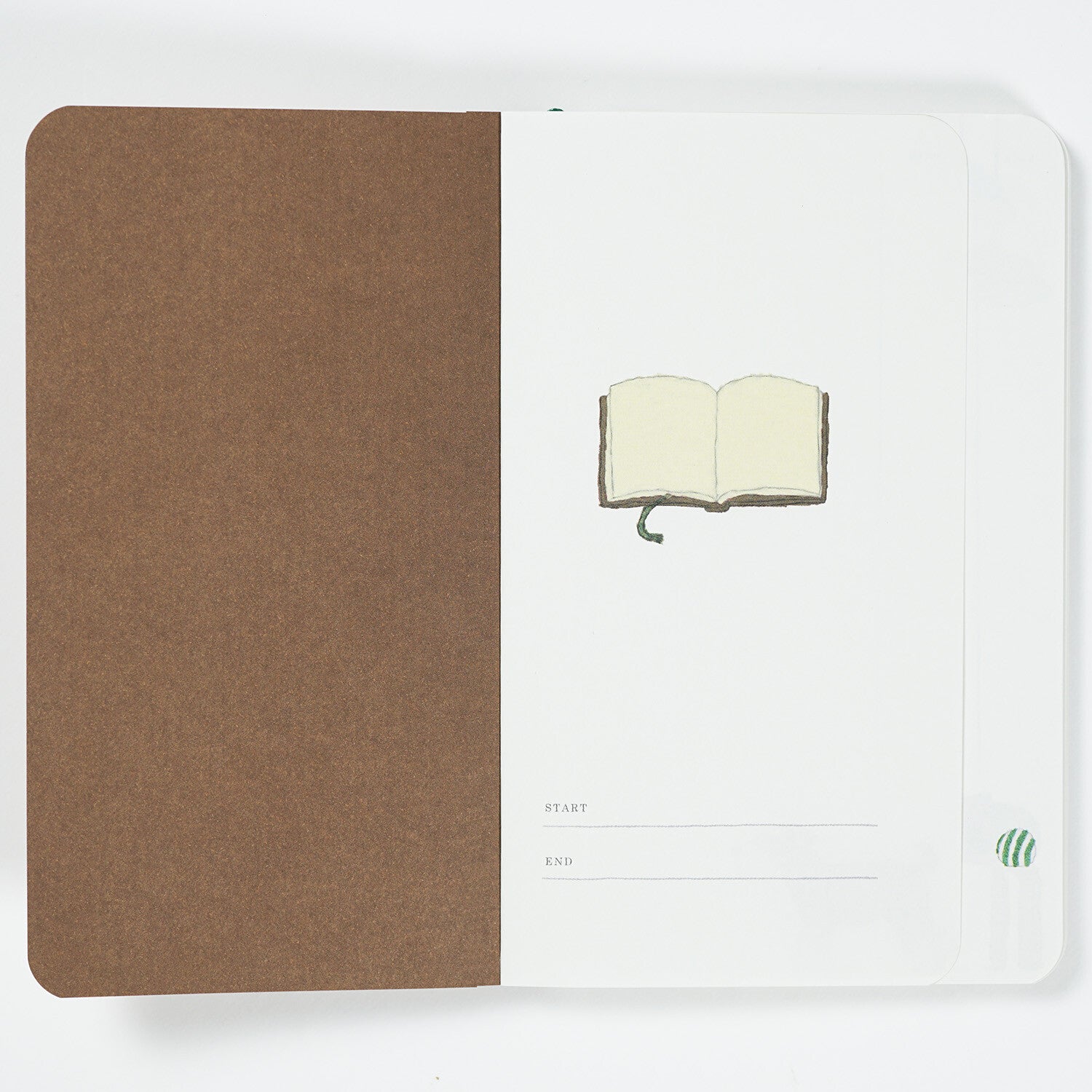 Lítil minnisbók með kisum