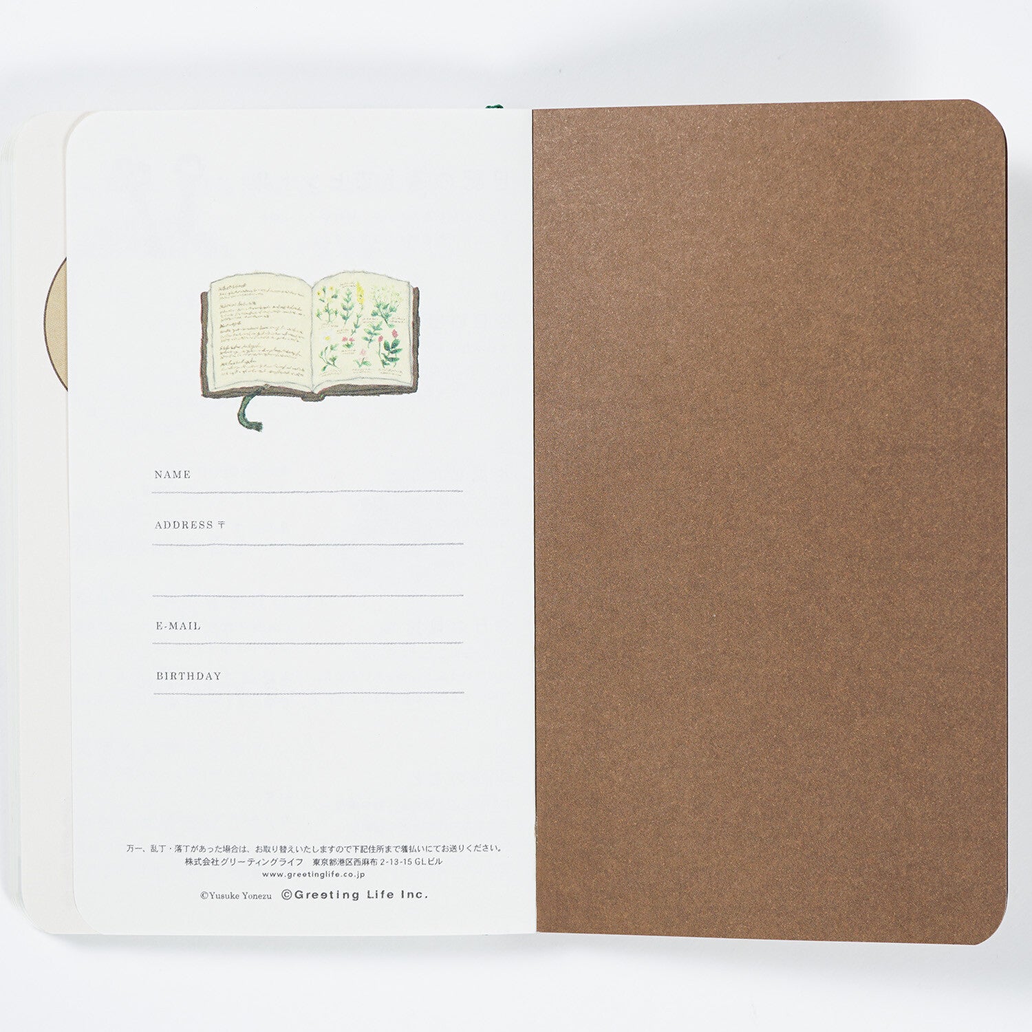 Lítil minnisbók með kisum