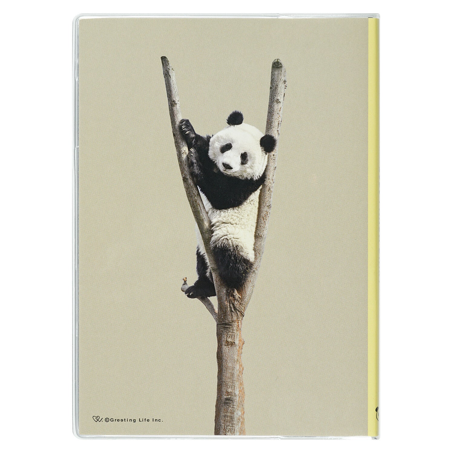 2026 pöndudagbók (B6)