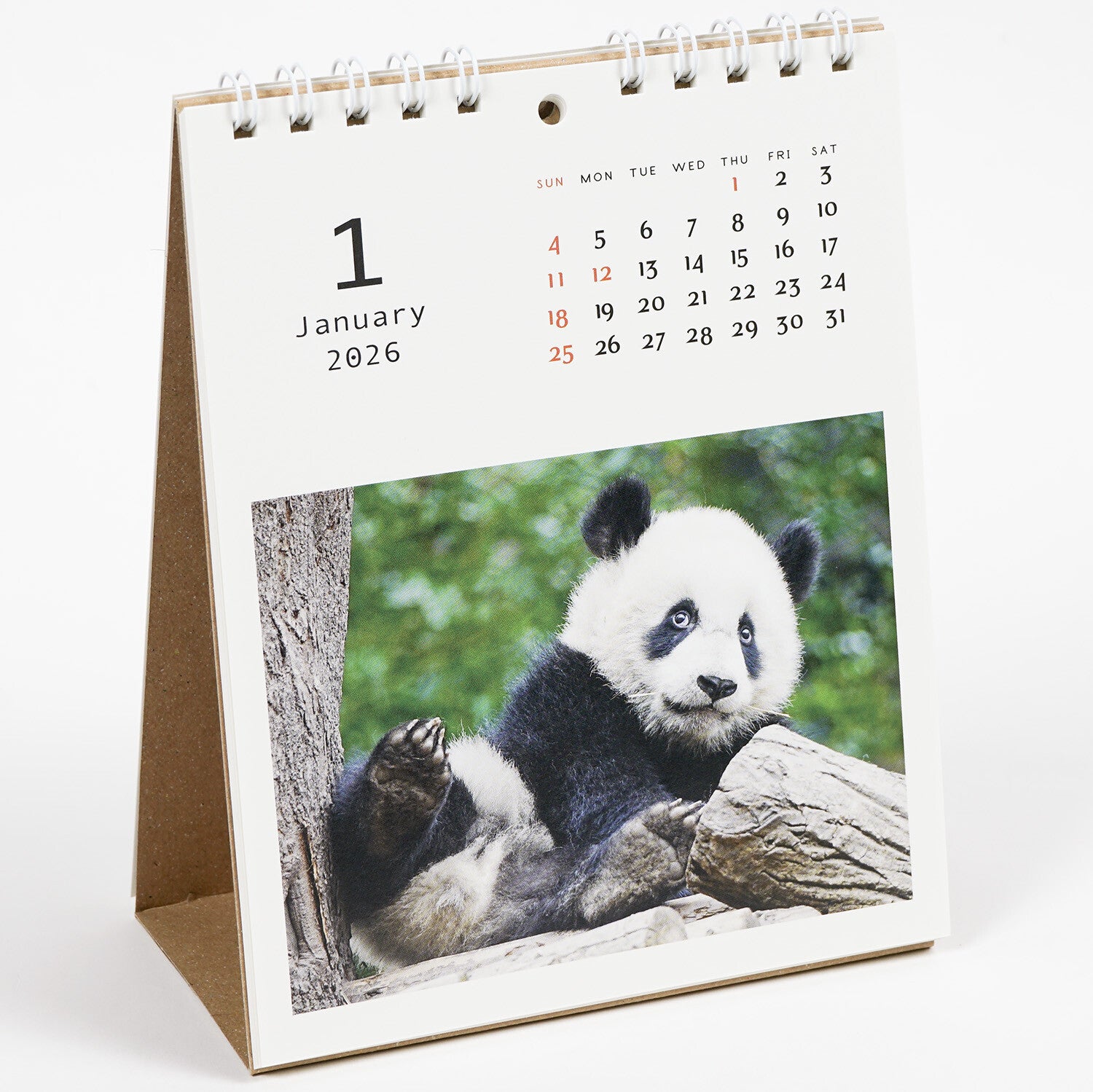 Borðdagatal 2026 - panda