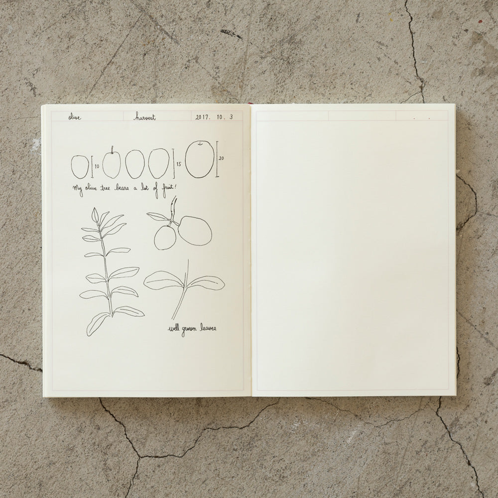 MD Notebook Journal A5 Frame