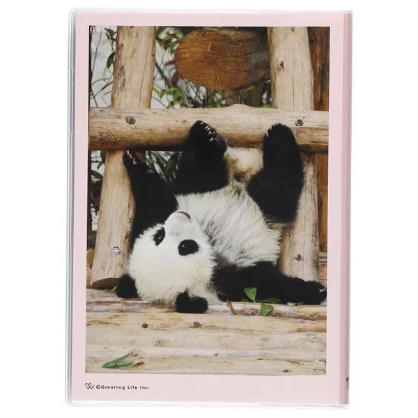 Panda dagbók 2027 (B6)