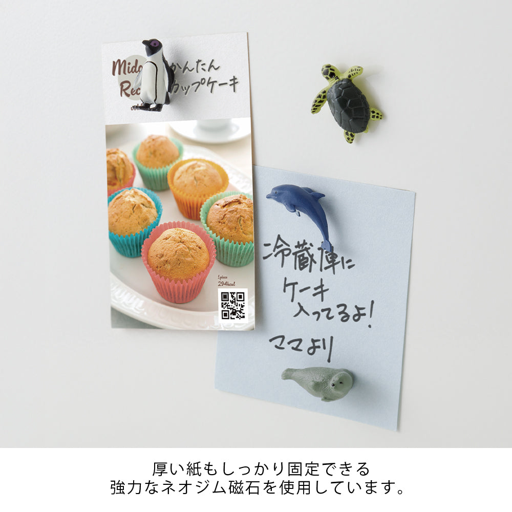 Litlir seglar - sædýrasafnið