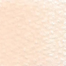 Holbein Artist Colored Pencil OP019 Shell Pink