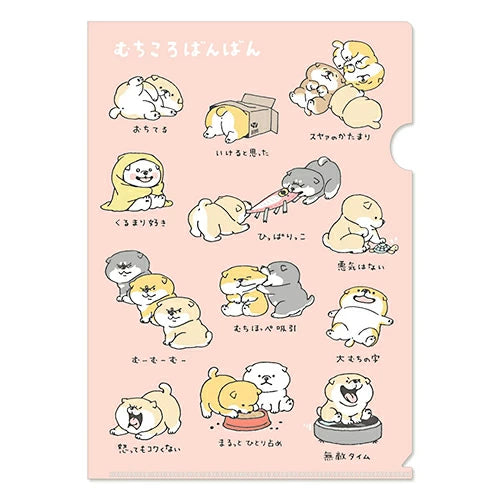 Plastmappa A4 - Shinbanban og vinir