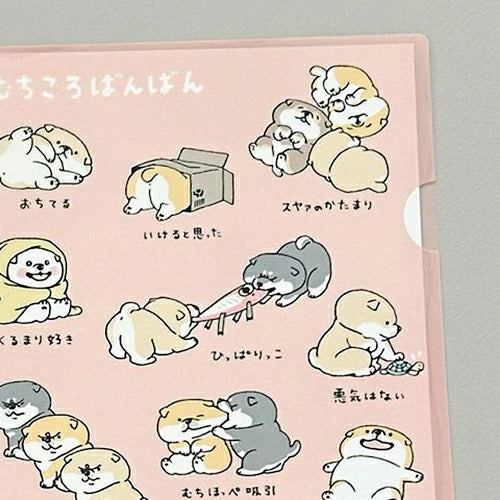 Plastmappa A4 - Shinbanban og vinir