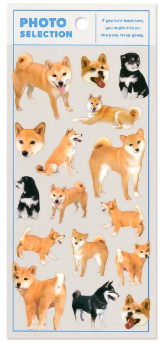 Límmiðar - ljósmyndir af shiba-inu