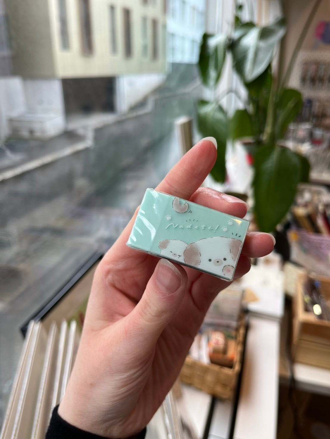 Strokleður með hundi