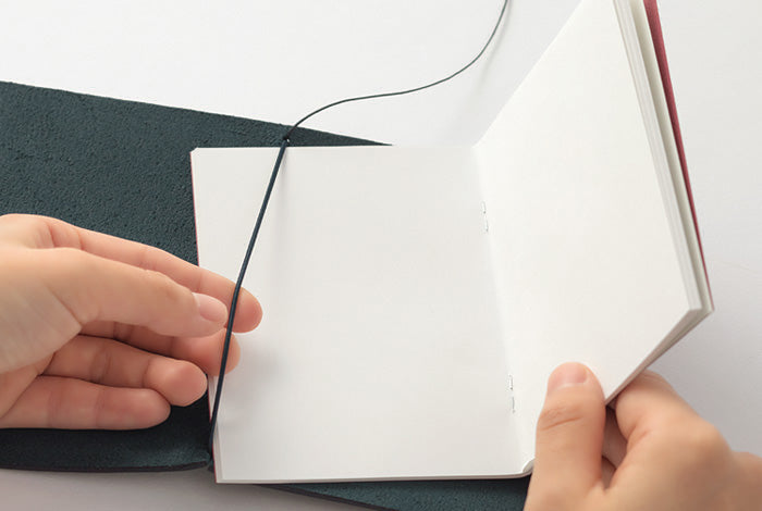 Passport Size Sett - Blue