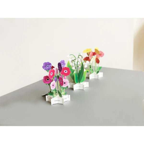 Þrívíddarkort - geislafífill