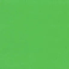 Holbein Artist Gouache Paint 15ml Permanent Green Light (G541)