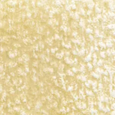 Holbein Artist Colored Pencil - Beige OP173