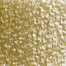 Holbein Artist Colored Pencil - Raw Umber OP184