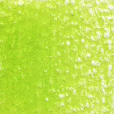 Holbein Artist Colored Pencil - Apple Green OP251