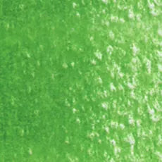 Holbein Artist Colored Pencil - Evergreen OP254