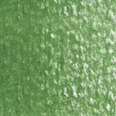Holbein Artist Colored Pencil - Cactus Green OP292