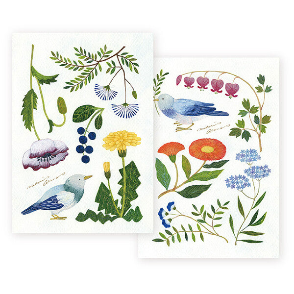 Glósubók - Midori Asano (A5)