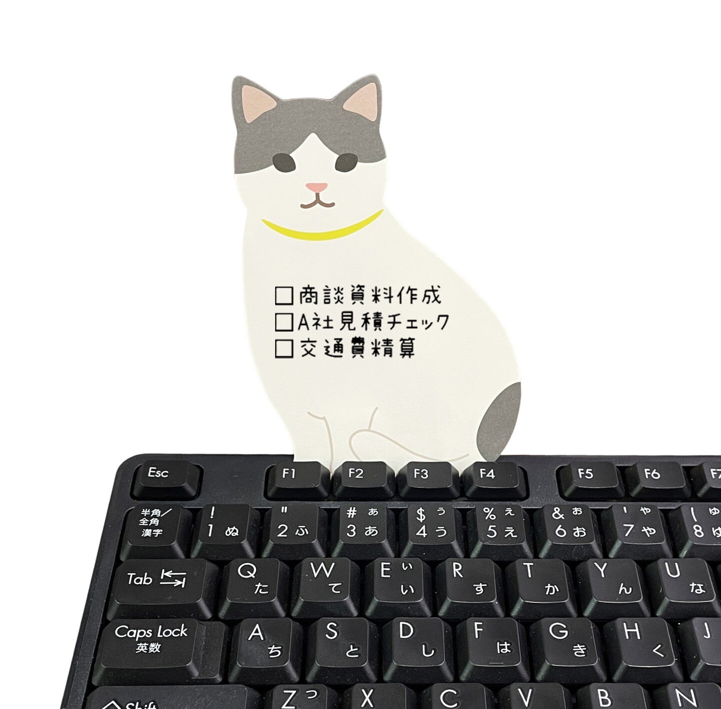 Minnismiðar - sofandi kisa