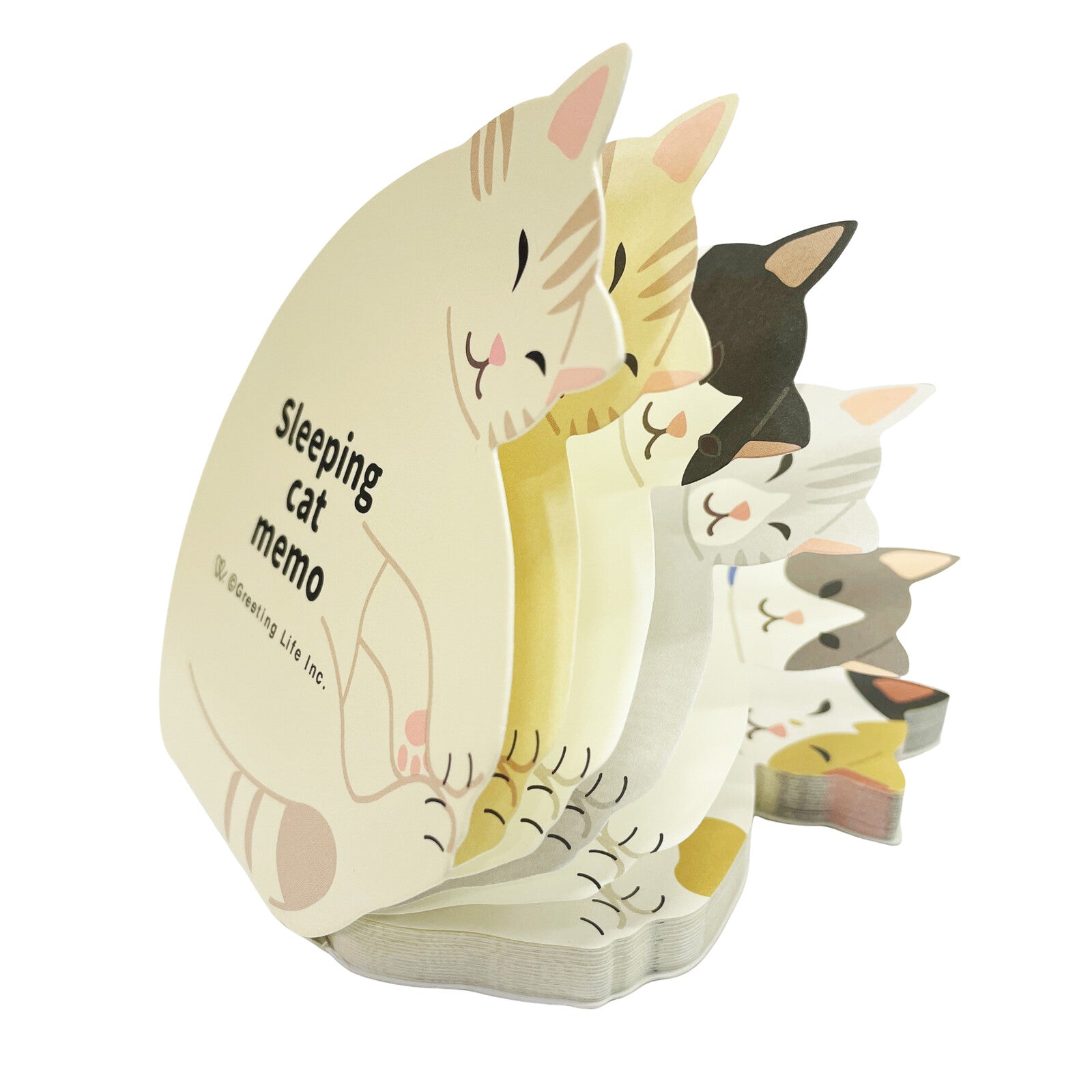 Minnismiðar - sofandi kisa