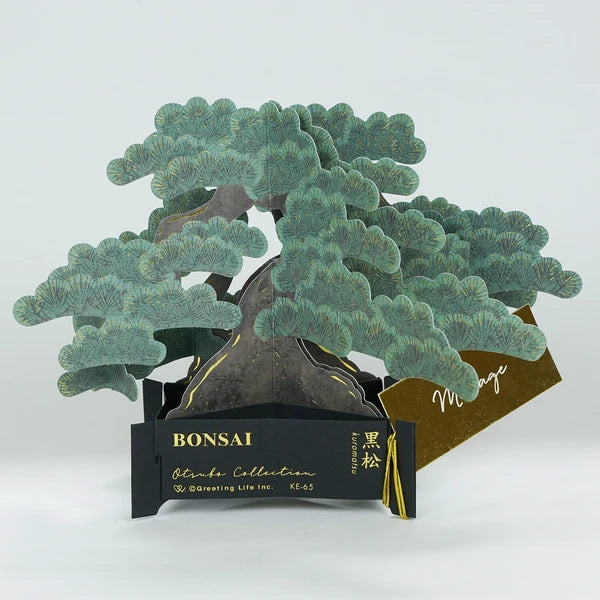 Þrívíddarkort - bonsai tré