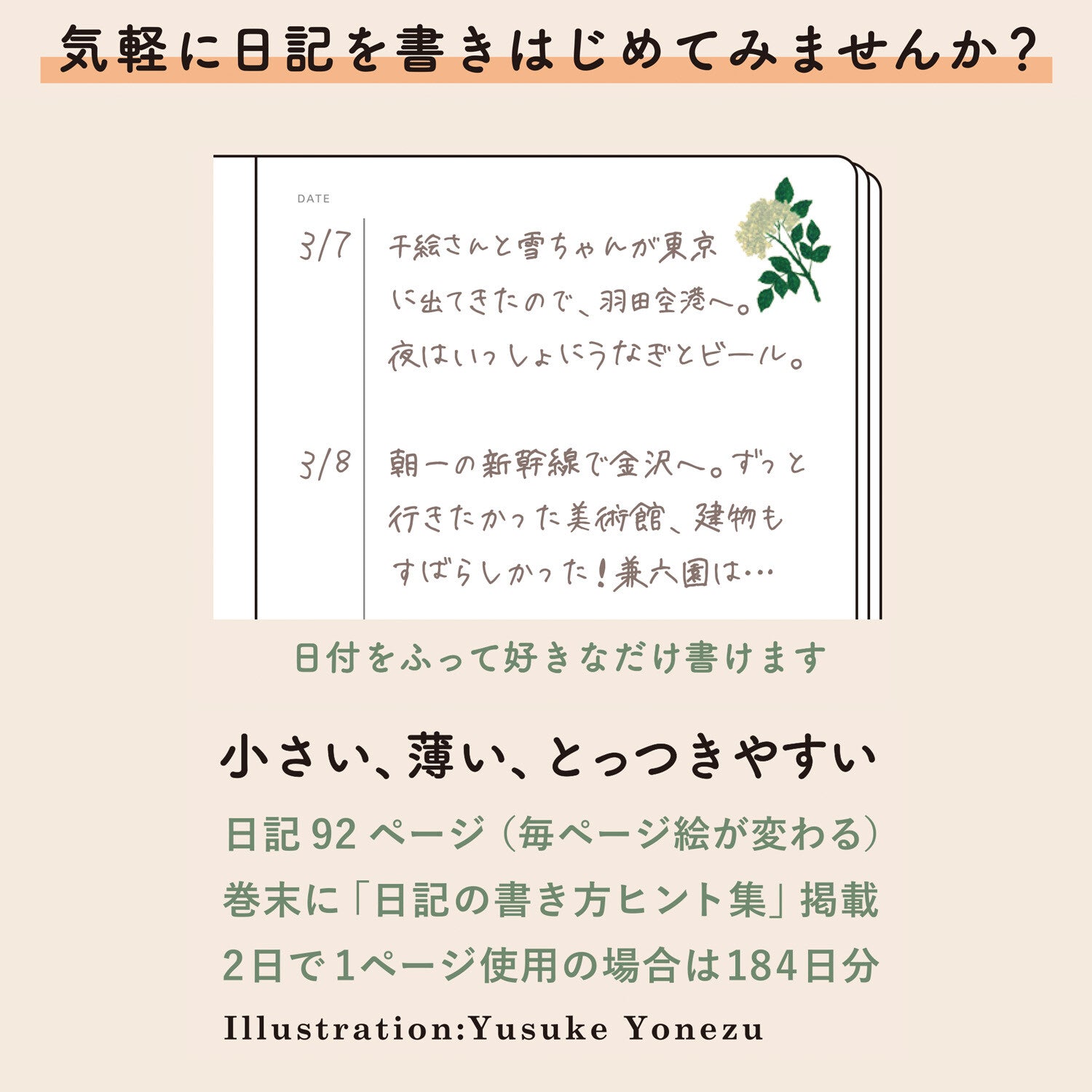 Lítil minnisbók með kisum