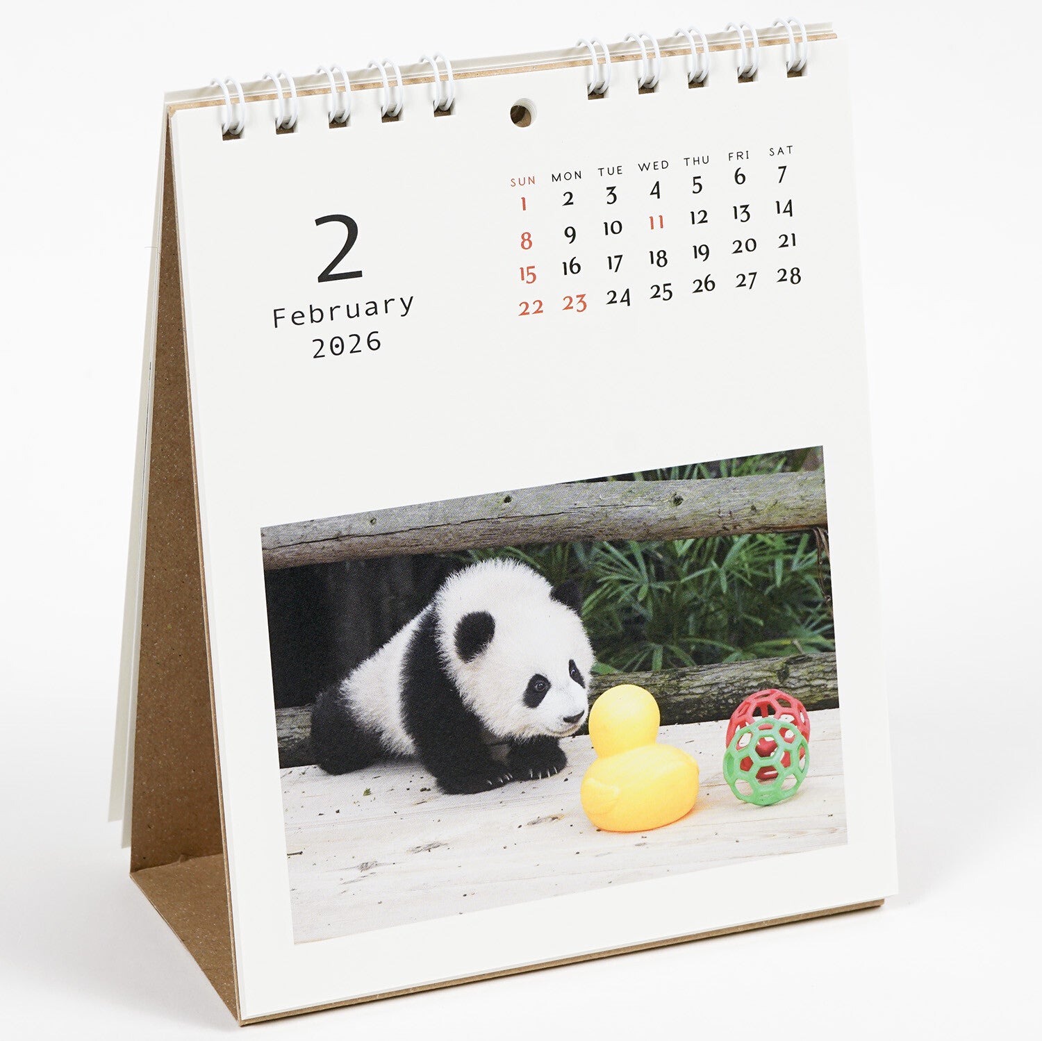 Borðdagatal 2026 - panda