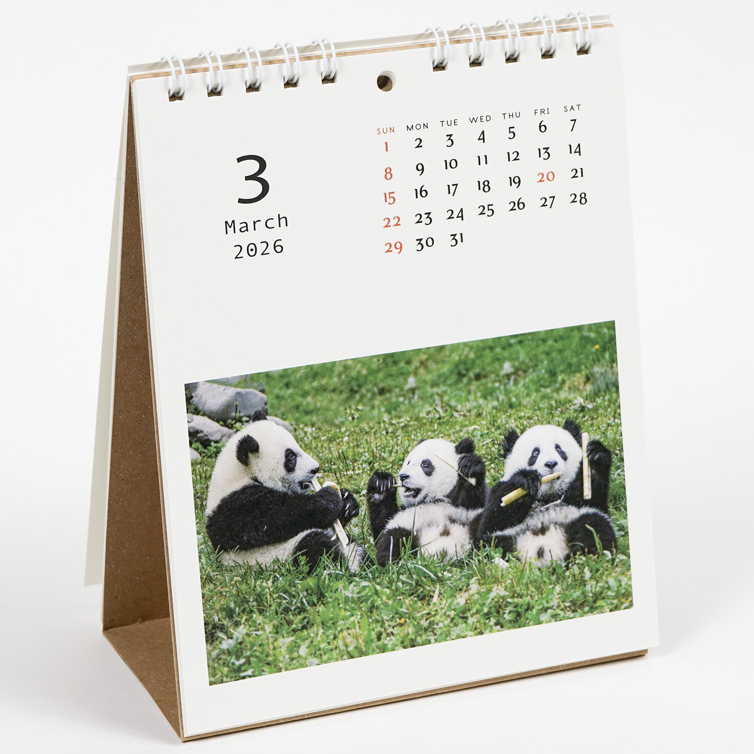 Borðdagatal 2026 - panda