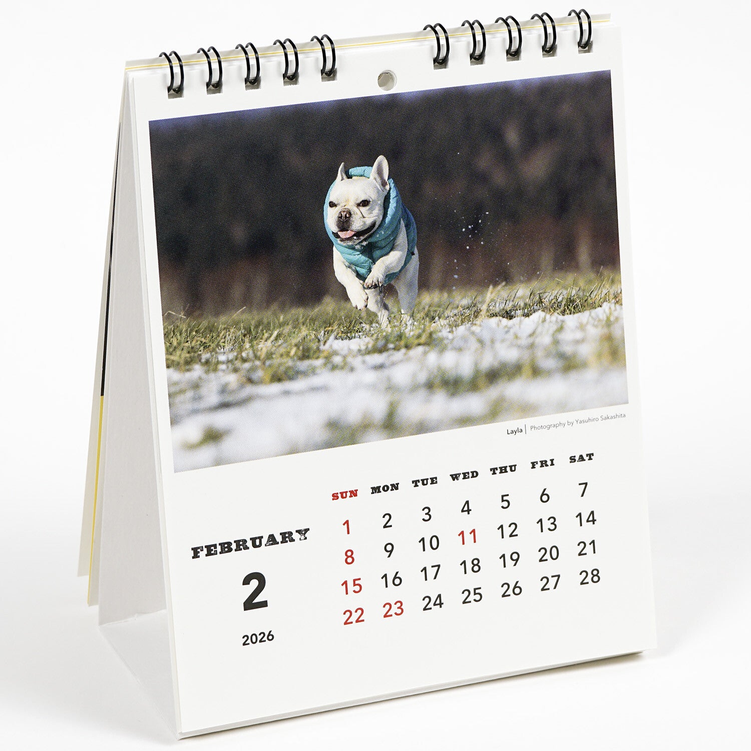 Borðdagatal 2026 - hundar