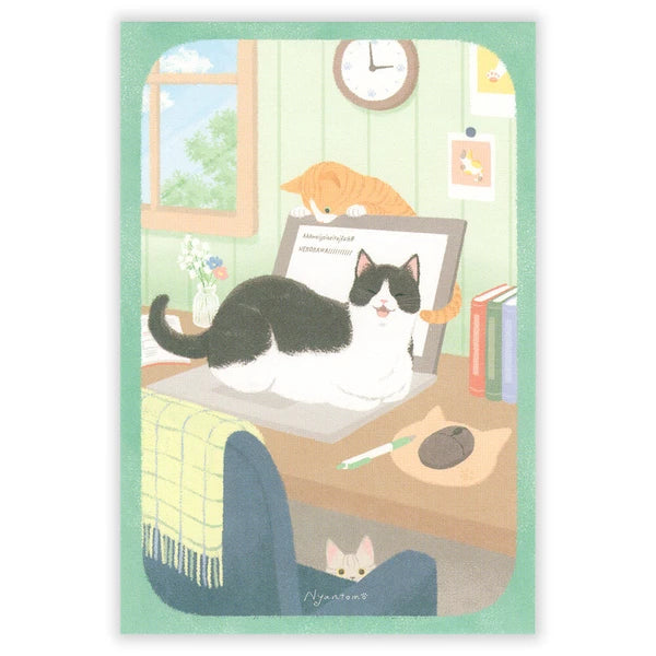 Póstkort - kisur í tölvuvinnu