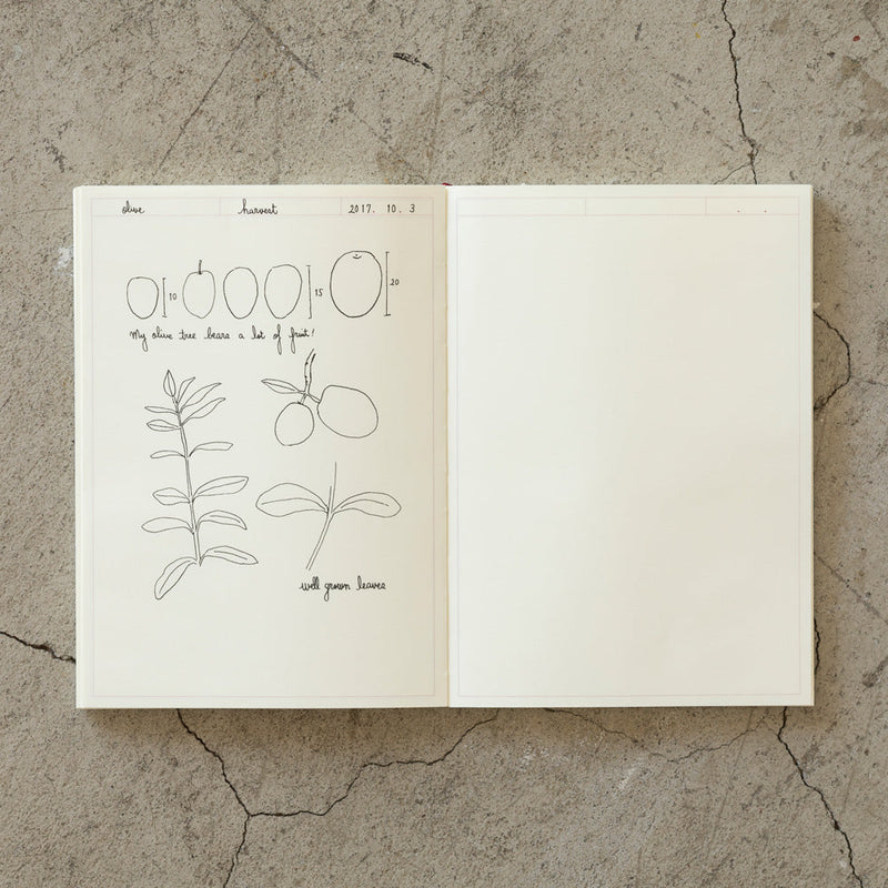 MD Notebook Journal A5 Frame
