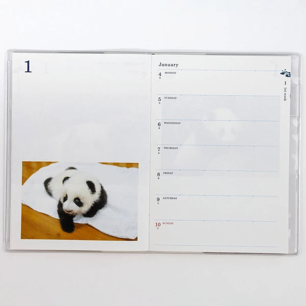 Panda dagbók 2027 (B6)