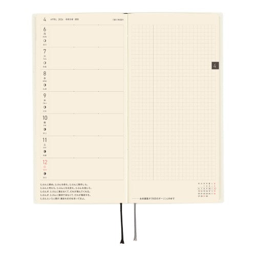 White Line: Ivory [Japanese/Tall & Slim/Apr Start]
