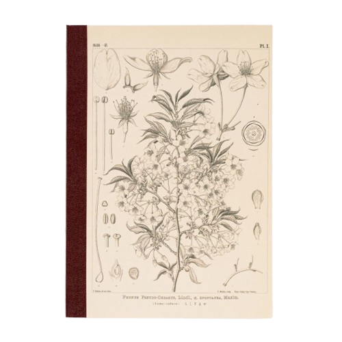 Tomitaro Makino: Hobonichi Graph Notebook (A5) - Yamazakura