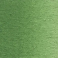 Holbein Artist Vatnslitir Terre Verte A (W065) 5ml