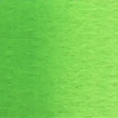 Holbein Artist Vatnslitir Permanent Green #1 A (W066) 5ml