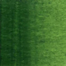 Holbein Artist Vatnslitir Sap Green B (W075) 5ml