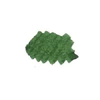 Sailor Shikiori blek (20ml) Tokiwa-matsu