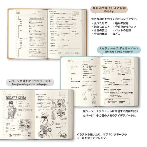 Hibino 2026 Camel (A6)